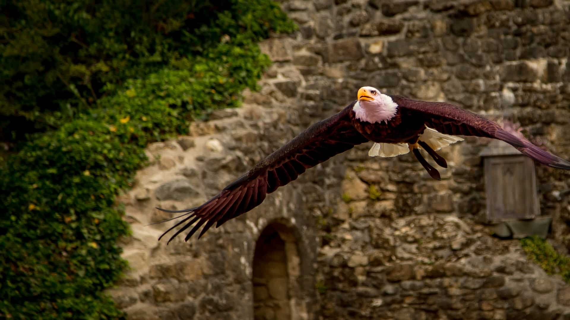 Week-end au Puy du Fou